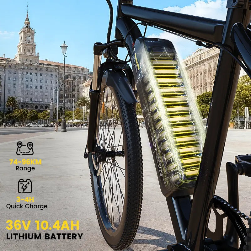 Finbike M10 Mountain Electric Bike 36V 10.4Ah 35km/h Speed