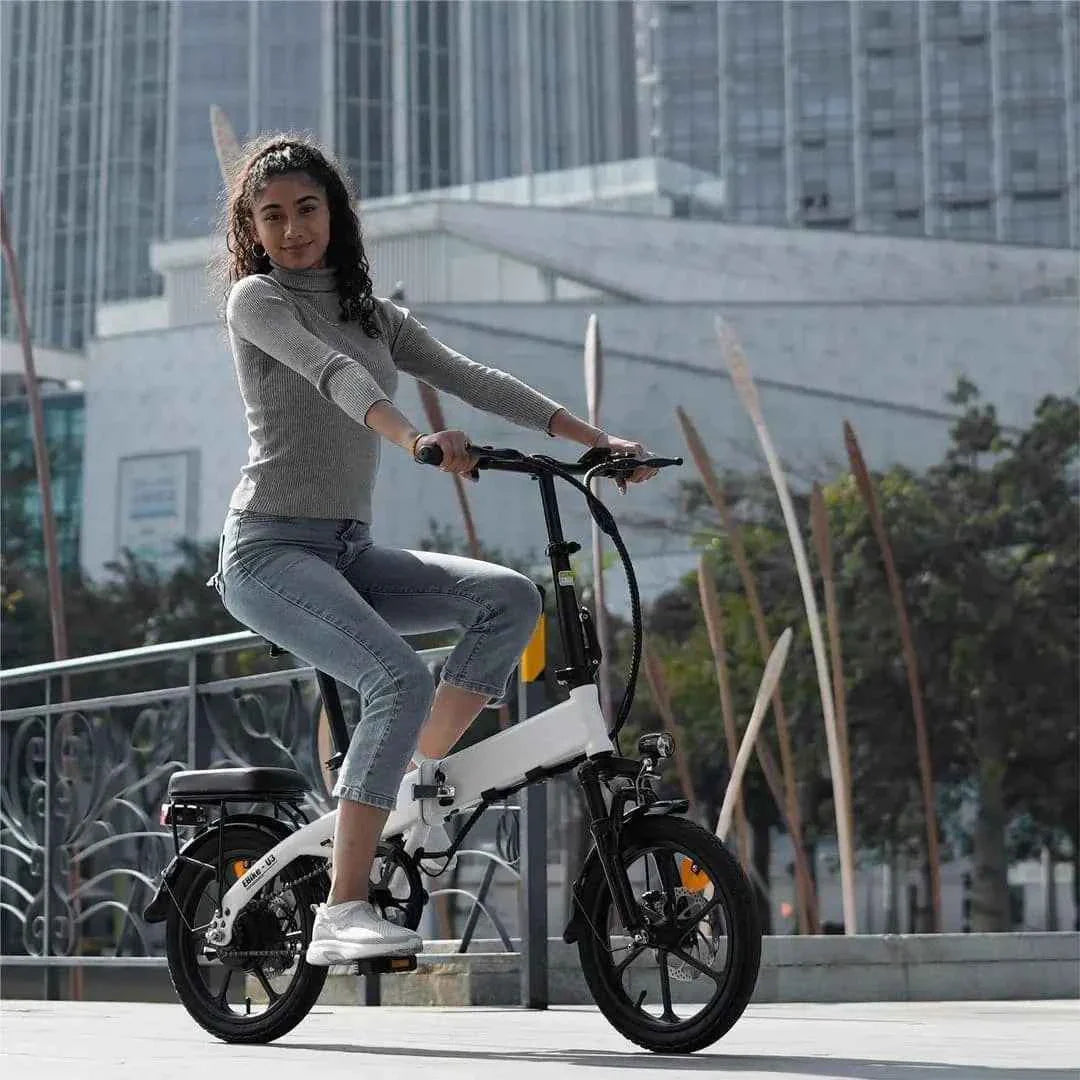 Finbike U3 Folding Electric Bike 250W 55km Range 2-3h Charge