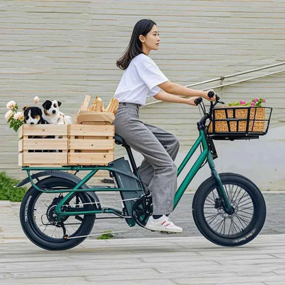 20" Fat Tire K750 Electric Cargo Bike 750W 48V 20.8Ah Battery