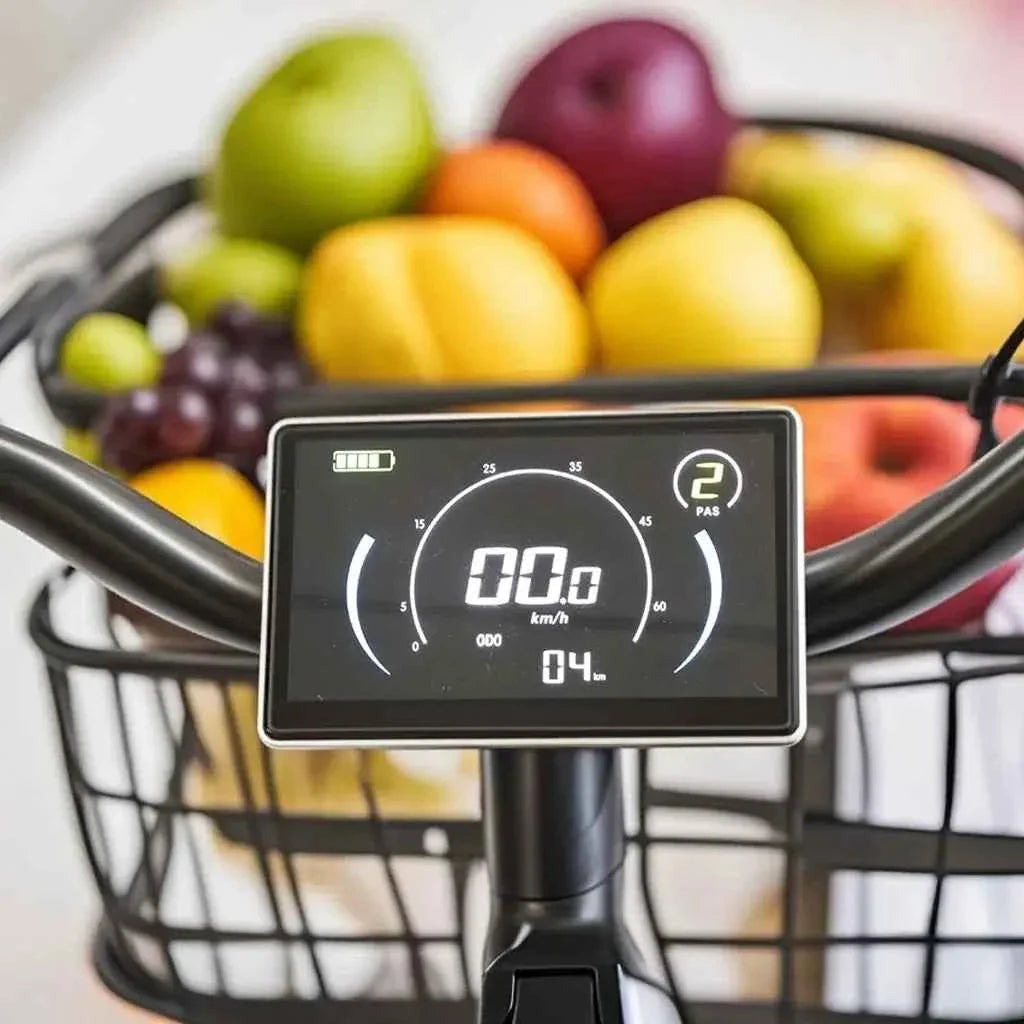 20" Fat Tire K750 Electric Cargo Bike 750W 48V 20.8Ah Battery