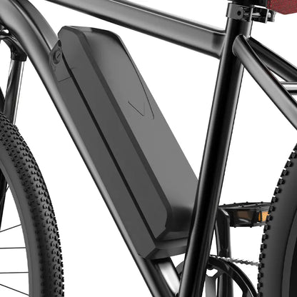 Finbike M10 Mountain Electric Bike 36V 10.4Ah 35km/h Speed