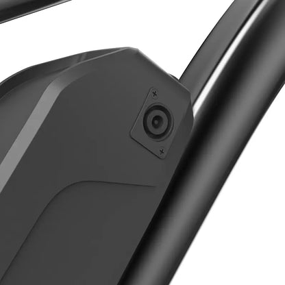 Finbike M10 Mountain Electric Bike 36V 10.4Ah 35km/h Speed