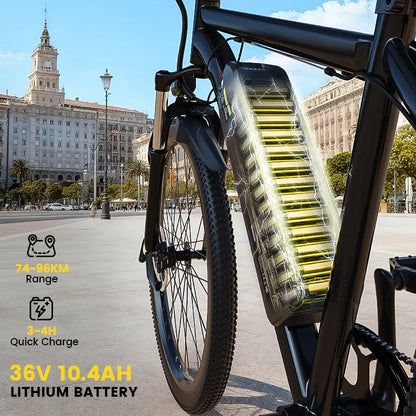 Finbike M10 Mountain Electric Bike 36V 10.4Ah 35km/h Speed