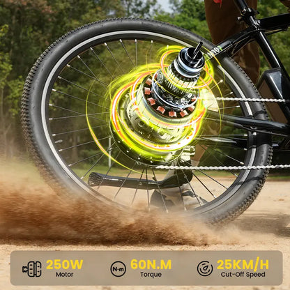 Finbike M10 Mountain Electric Bike 36V 10.4Ah 35km/h Speed