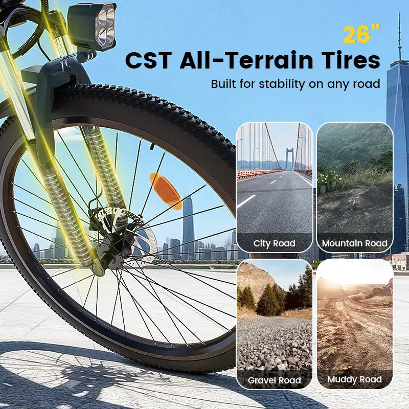 Finbike M10 Mountain Electric Bike 36V 10.4Ah 35km/h Speed