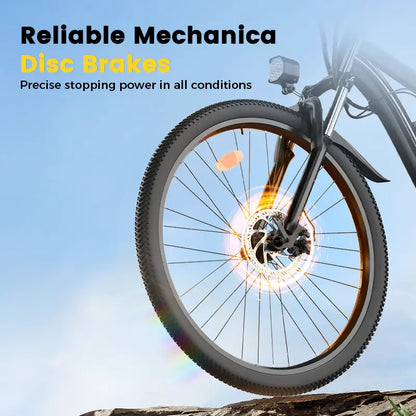 Finbike M10 Mountain Electric Bike 36V 10.4Ah 35km/h Speed