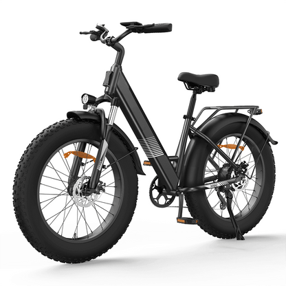 Finbike M60 Fat Tire Electric Bike
