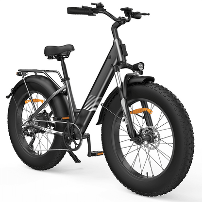 Finbike M60 Fat Tire Electric Bike