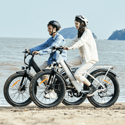 Finbike M60 Fat Tire Electric Bike