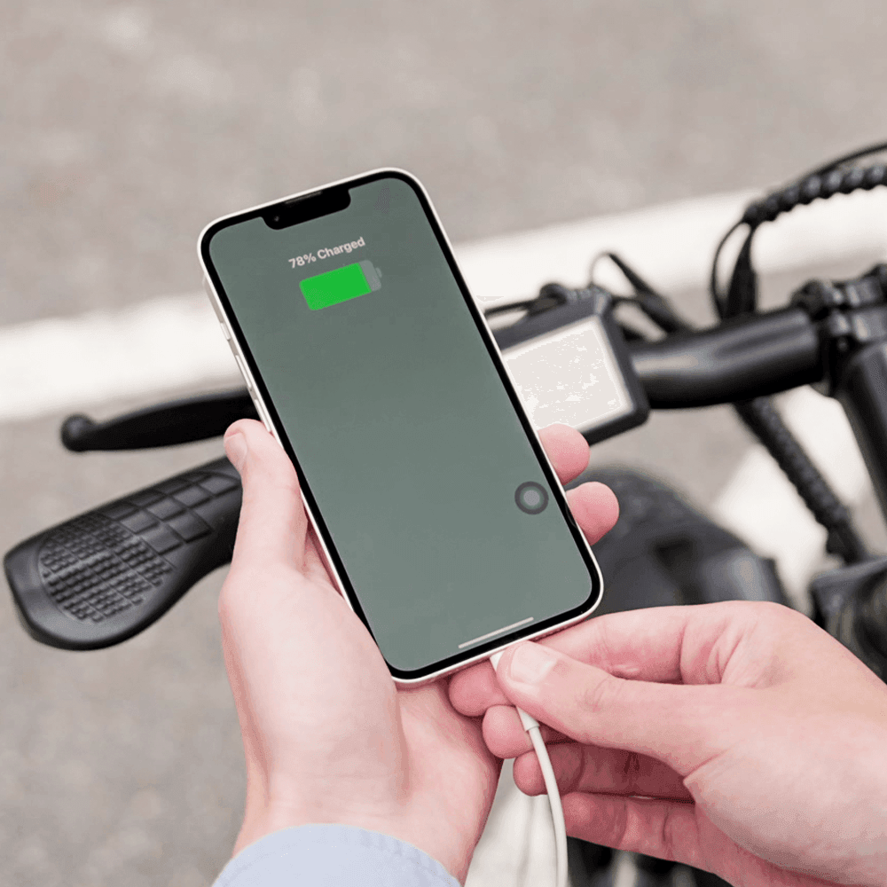 Finbike M60 Fat Tire Electric Bike