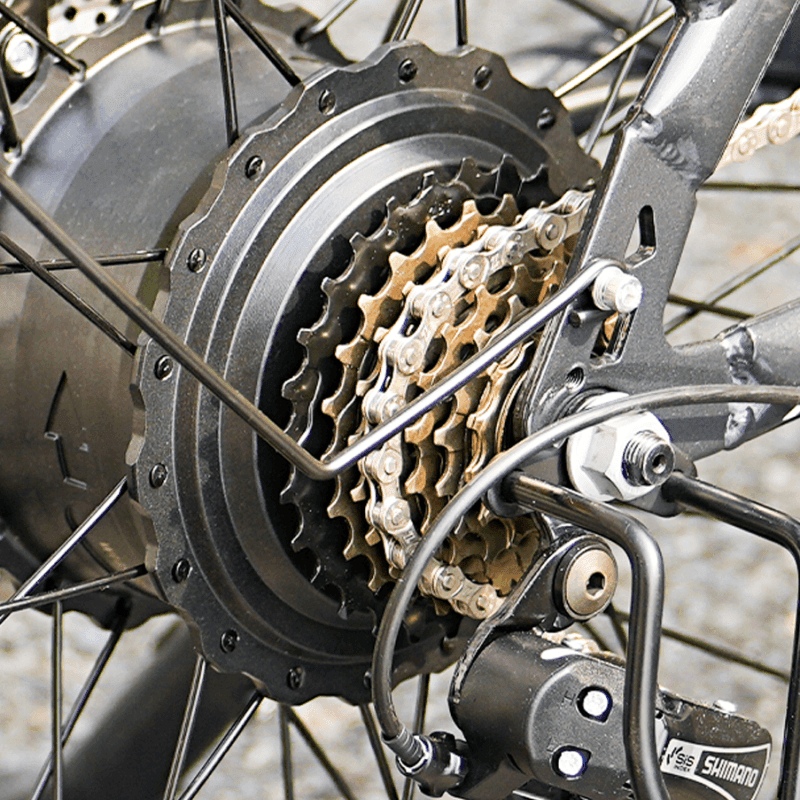 Finbike M60 Fat Tire Electric Bike