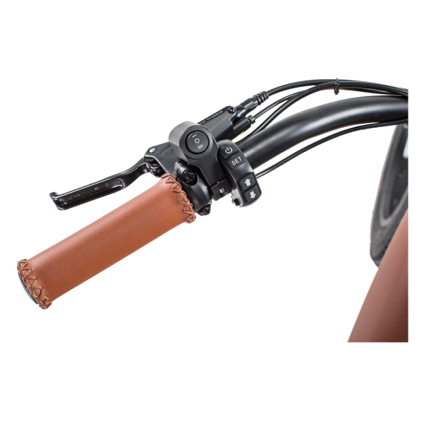 &nbsp;Revi Bikes Cheetah 48V 750W Hub Motor Fat Tire Electric Cruiser Bike