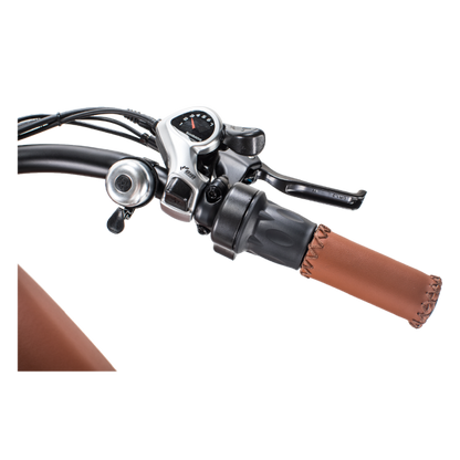 &nbsp;Revi Bikes Cheetah 48V 750W Hub Motor Fat Tire Electric Cruiser Bike