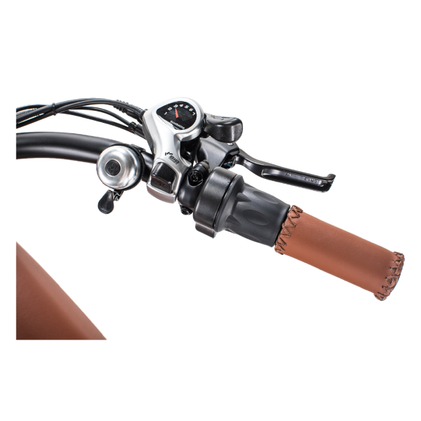 &nbsp;Revi Bikes Cheetah 48V 750W Hub Motor Fat Tire Electric Cruiser Bike