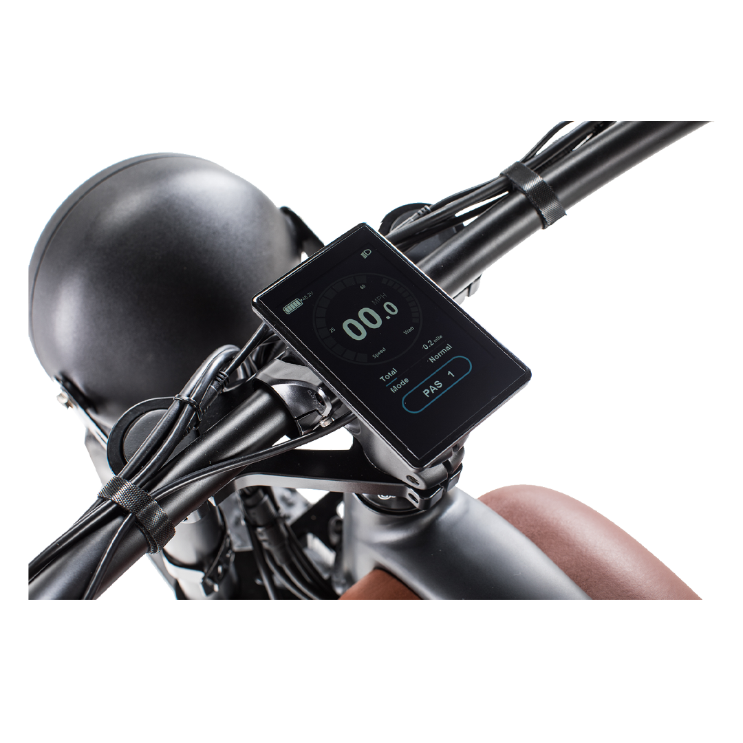 &nbsp;Revi Bikes Cheetah 48V 750W Hub Motor Fat Tire Electric Cruiser Bike