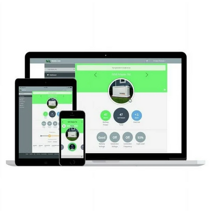 Guardian Series 22 Kw/19.5 Kw Air Cooled Home Standby Generator with Wi-Fi with Whole Hoe 200 Amp Transfer Switch